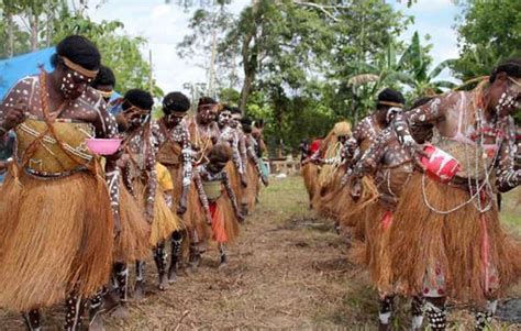 Pakaian adat papua merupakan kostum khas papua yang mengekspresikan identitas serta membedakannya dari pakaian dari daerah lain. Pakaian Adat Papua, Gambar, Nama, dan Penjelasannya | Adat ...