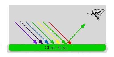 Mawar berwarna merah dan violet berwarna biru, tapi kita hanya tahu bahwa berkat sel khusus di mata kita disebut kerucut. My Share Learning Content: 7.6 Aplikasi Penolakan Cahaya ...