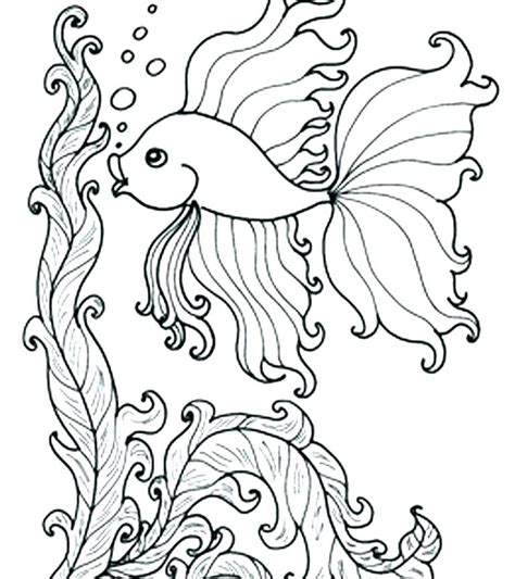 Everybody has fish in their house aquarium like gold fish and star fish are the main ones. Coloring Pages For Adults Fish at GetDrawings | Free download