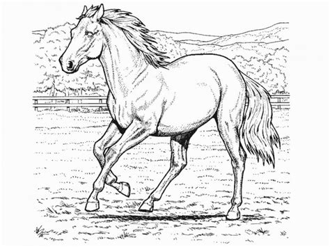 Coloriage cheval les beaux dessins de animaux a imprimer. Coloriage Cheval au crayon dessin gratuit à imprimer