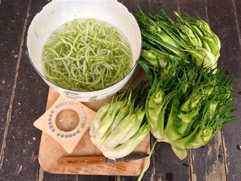 In seguito, a casa, la torta salata con puntarelle, ricotta e acciughe è diventata un piatto unico da leccarsi i baffi ! Ricetta puntarelle: ingredienti, preparazione e consigli ...