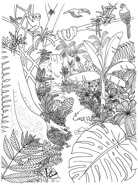 Various animals in a forest, to print and color for free. Rainforest Animals and Plants Coloring Page | Rainforest ...