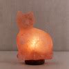 Pagesbusinessesmedia/news companyladbiblevideoscat hugs salt rock lamp. Himalayan Salt Lamp Cat