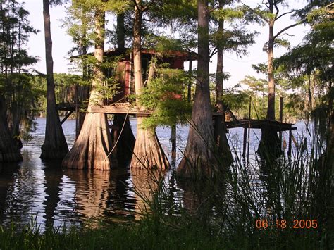 Check out this great lakefront property on the big cypress bayou of caddo lake. STORY CUP: Rustic Tree House on Caddo Lake