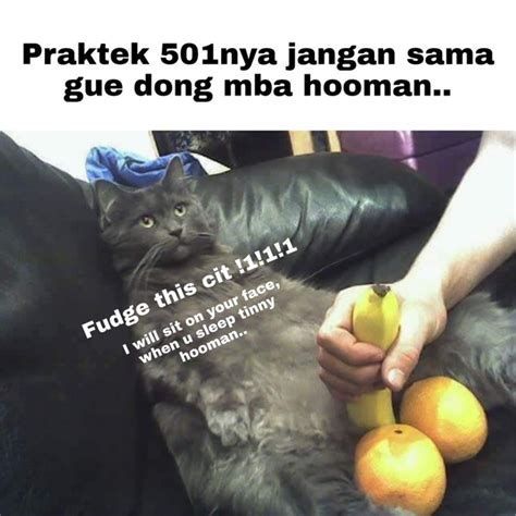 •4646 •k&2 •479 •599 •501. Apa arti kode '501' istilah gaul? - Quora