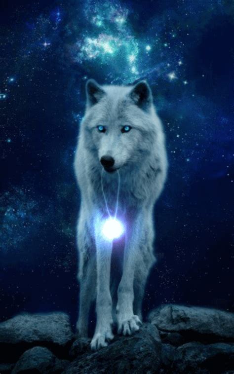 1252 x 704 jpeg 141 кб. Pin by Catalina Porras on Animals in 2020 | Wolf spirit ...