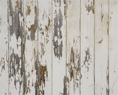 In this collection,there are wooden paint peelings,metal paint peelings and stone wall paint peelings.all are free to download but please check for licences for commercial use. Free Paint Peeling / Texture Stock Photo - FreeImages.com