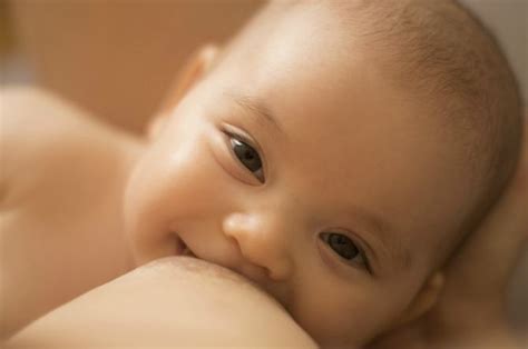 Setelah ditelan, suhu makanan (panas dan sejuk) pada dasarnya akan jadi, sudah tentu minum ais semasa menyusu tidak akan menyebabkan bayi sakit atau sejuk. Manfaat air susu ibu - Kegunaan ASI untuk kesehatan dan ...