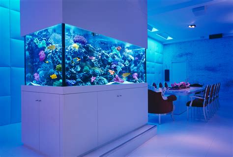 In feng shui, fish tanks are believed to bring you wealth and abundance, so the best area for a fish tank would be in the southeast corner of your home or office. Feng Shui Tips for Location of the Fish Tank At Home | My ...