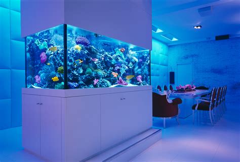 With fish tank coming as a fashion statement every living room is seen to have huge fish tanks with latest pumps and cleaning facilities. Feng Shui Tips for Location of the Fish Tank At Home | My ...