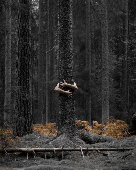 Fishing, wood spirit and beautiful nature. Stunning Swedish Nature Photography Captured by Magnus ...