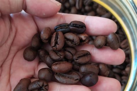 The biggy's ⭐ , ghana, accra, korle obuade crescent, 7: Ahli IPB: Kurangi konsumsi kopi dan makanan pedas saat ...