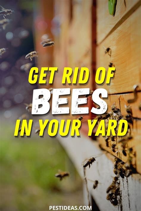 Get the spray insecticide, and wait til it almost dark, empty the can into the nest focusing on the hole as your target. Get Rid of Bees On Your Deck & In Your Yard