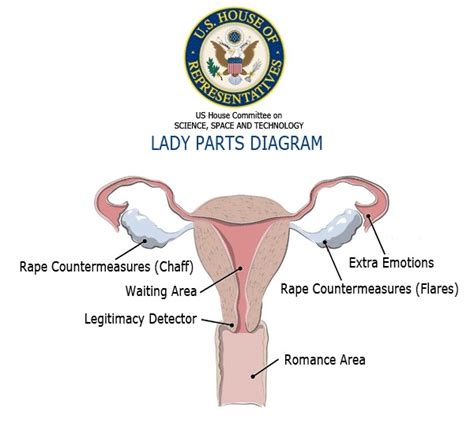 Other parts of the body. Todd Akin's Lady Parts Diagram | Apartment 46