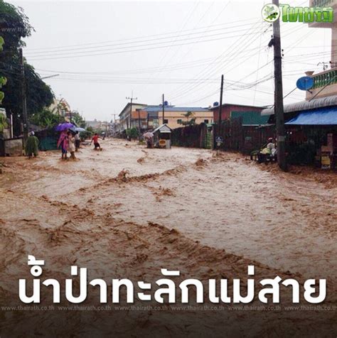 We did not find results for: ข่าวน้ำท่วม เกาะติดสถานการณ์น้ำท่วมล่าสุดทุกภาคทั่วไทย ภาพ ...