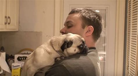 You're my little lucky charm ~emilio. This Dad Asks His Pug for a Hug. Now Watch and See How She ...