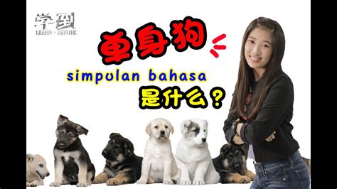 Simpulan bahasa bergambar minggu ini Simpulan Bahasa【学到】| 单身狗的simpulan bahasa是什么？关于Anak 的 SB ...