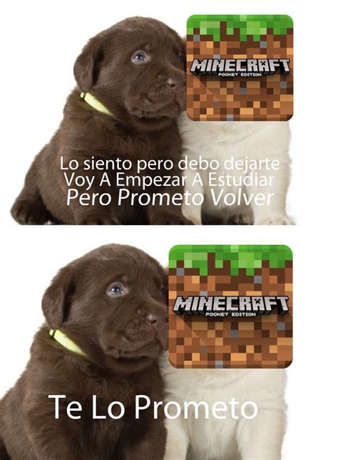Browse thousands of community created minecraft banners on planet minecraft! Vuelve~ en 2020 | Memes de minecraft, Memes, Memes divertidos