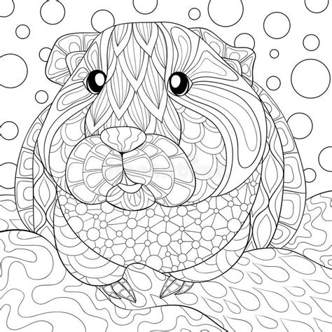 Pet realistic guinea pig coloring pages. Pin on Adult Coloring