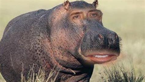 55 horrible but funny photoshop fails ever if you are a retoucher, photoshop is an extremely useful tool when it comes to enhancing the overall quality of your images. Image result for funny photoshop fails | Nicolas cage ...