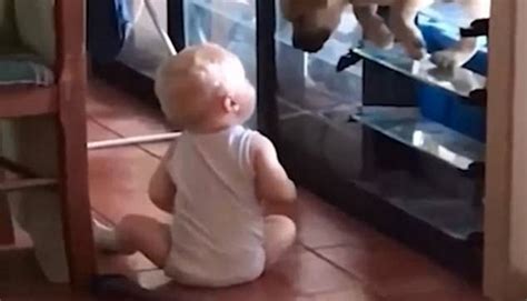 طفل خارج المنزل ( بالإنجليزية : فيديو طريف: طفل يفتح النافذة ليدخل كلبه إلى المنزل | النهار