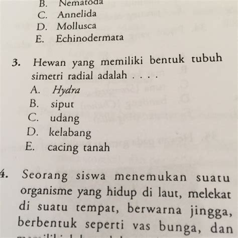 Karena ini adalah pertanyaan terbuka, tidak ada jawaban benar atau salah. Hewan yang memiliki bentuk tubuh simetri radial adalah ...