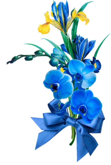 Primaria che con le immagini ci lavora tutti i giorni. fiori azzurri viola blu lilla