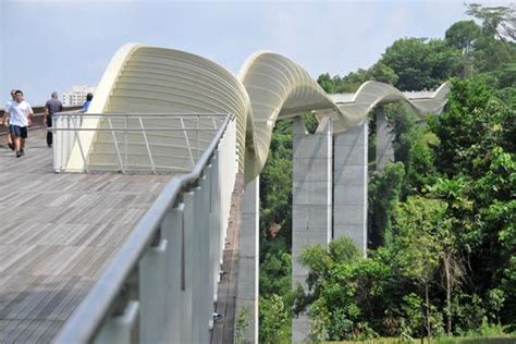 Telok blangah hill park is a park situated at telok blangah green, off henderson road. Gallery of Telok Blangah Hill Park - 4