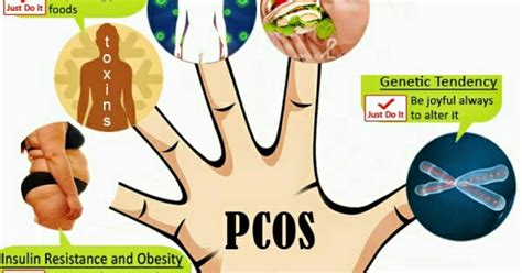 Pasalnya, ada beberapa jenis buah termasuk makanan rendah kalori tetapi tinggi serat. DIET UNTUK PCOS - SYAMSYIMA