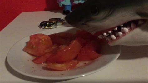 The ruling that forbids consumption. Shark eats to tomatoes 🍅 - YouTube