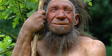 Wo der neandertaler zuhause war. Entdeckung - Neandertaler wurde vermutlich mit einem ...