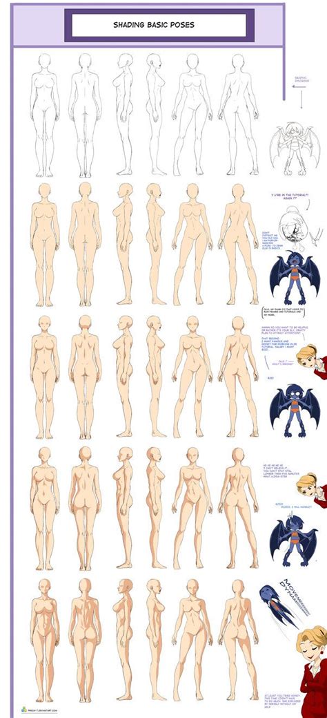 They are located at the back of the spine (posterior). Basic poses shading by Precia-T on deviantART | Drawing ...