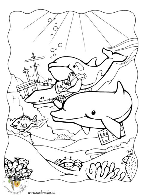 Ausmalbilder kostenlos ausdrucken und ausmalen. Ausmalbilder delfin kostenlos - Malvorlagen zum ausdrucken - AffeFreund.com