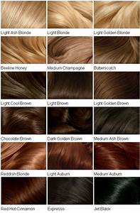 Hair Colour Chart Hair Colors In 2019