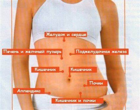 Помогает ли корсет похудеть в животе и
