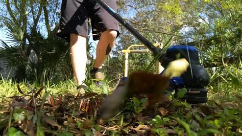 They're safer than gas trimmers and there's no cord to drag around either. Testing the Kobalt 40v weed wacker - YouTube