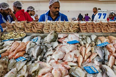 Matt's genuine approach and committment to keeping us informed at all times left us in no doubt that we had chosen the best team to market and sell our home. Sharjah Fish Market in Sharjah | Attractions | Time Out ...