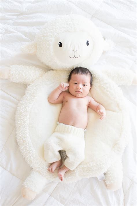 David fell on weight for it. Index of /private_files/Thuy-Tien-1st-new-born-with-Dan-Truong