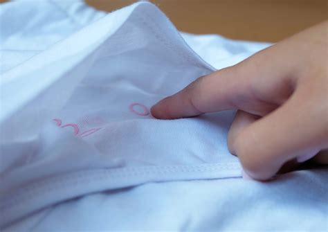 Breast cancer in cats is one of the more common cancers, with an incidence of around 17% of tumors in female cats. Introducing the Pink Bra: An innovative bra that helps ...