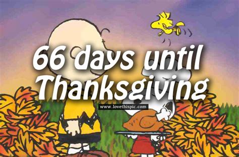 2,215 hours 132,948 minutes 7,976,883 seconds Charlie Brown, 66 Days Until Thanksgiving Countdown ...