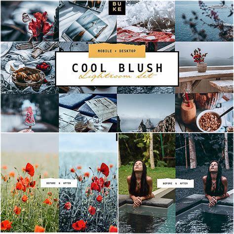 For iphones and android devices. 5 Cool Blush Lightroom Presets Pack | Free download