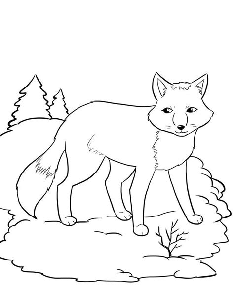 The style of citing shown here is from the mla style citations (modern language association). Snowshoe Coloring Pages at GetDrawings | Free download