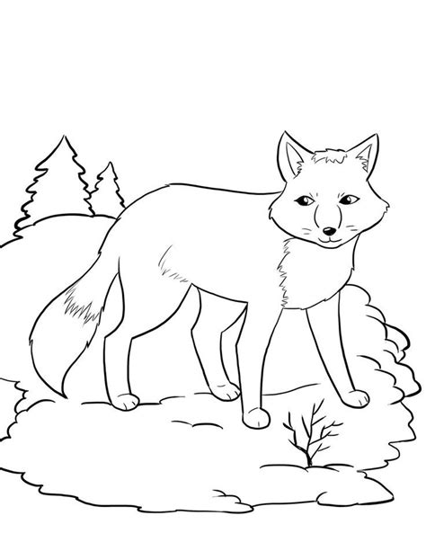 The snowshoe kitten is born white, taking several weeks to develop colouring to the points and display any white markings. Snowshoe Coloring Pages at GetDrawings | Free download