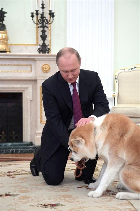 Turkmenistan's president, gurbanguly berdymukhamedov, gave russian president vladimir putin an alabai dog as a late present for his oct. Interview by Vladimir Putin to Nippon TV and Yomiuri ...