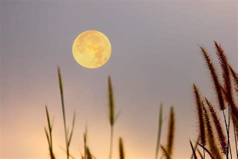 La pleine lune de juillet 2021 se produira le samedi 24. Pleine lune juin 2021 : quels signes astro vont être les ...