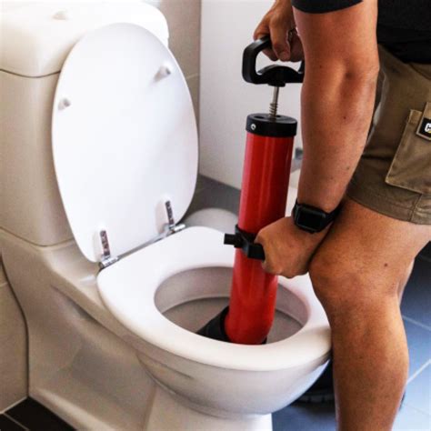 Toilet paper that breaks down easily. Five Summer drain problems in the Toronto Area