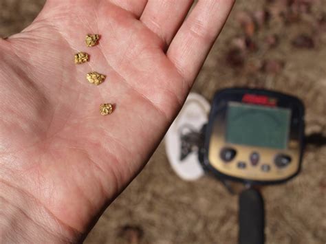 By scott krager | last updated: Best Pi Metal Detector For Gold - Cheap Metal Detectors