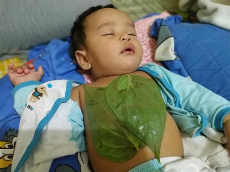 Dokter yang baik petang, doktor saya ingin bertanya, tetapi kemudian saya diisytiharkan sembuh dari tb, tetapi 3 hari lalu saya pergi ke puncak selepas. Ikhtiar Keluarkan Kahak Bayi Menggunakan Daun Sireh Dan ...