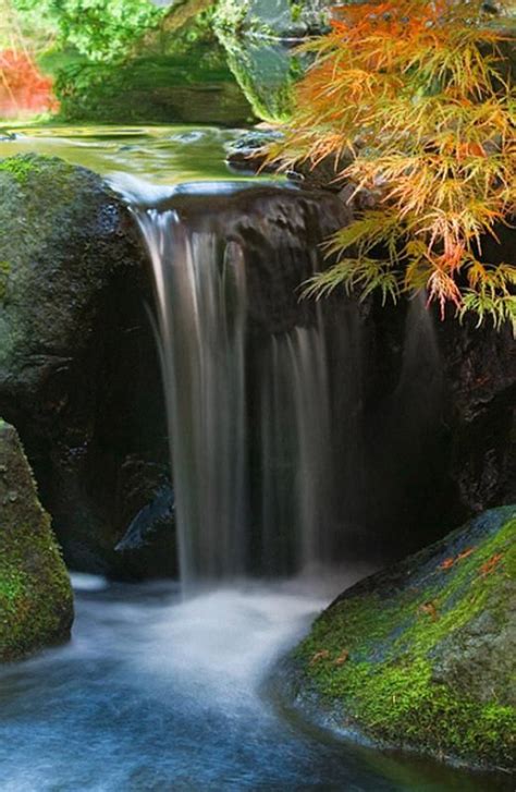 Free shipping on qualified orders. Flowing waterfall in a Japanese garden... (With images ...
