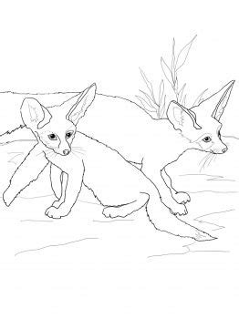 (semi) daily animal doodle this was another animal that i had to google to figure out what it was. Fennec Fox Babies | Fennec fox baby, Baby fox, Baby ...